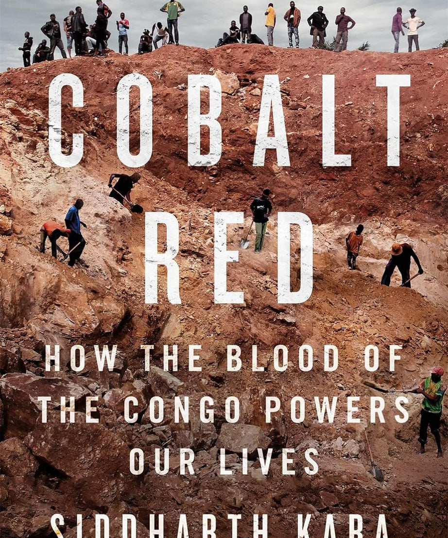 Cobalt Red:How the Blood of the Congo Powers Our Lives Paperback