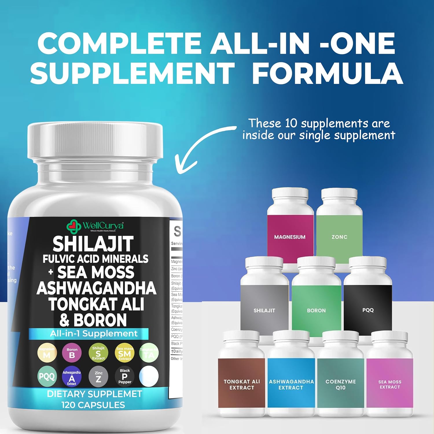 WELLCURYA Herbal Capsules – 120 Count | Plant-Based Daily Formula