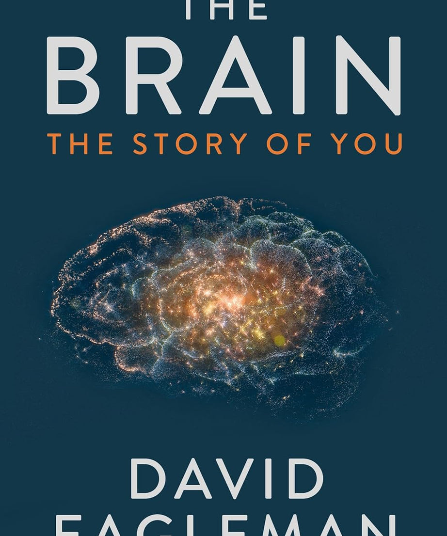 The Brain (Paperback)