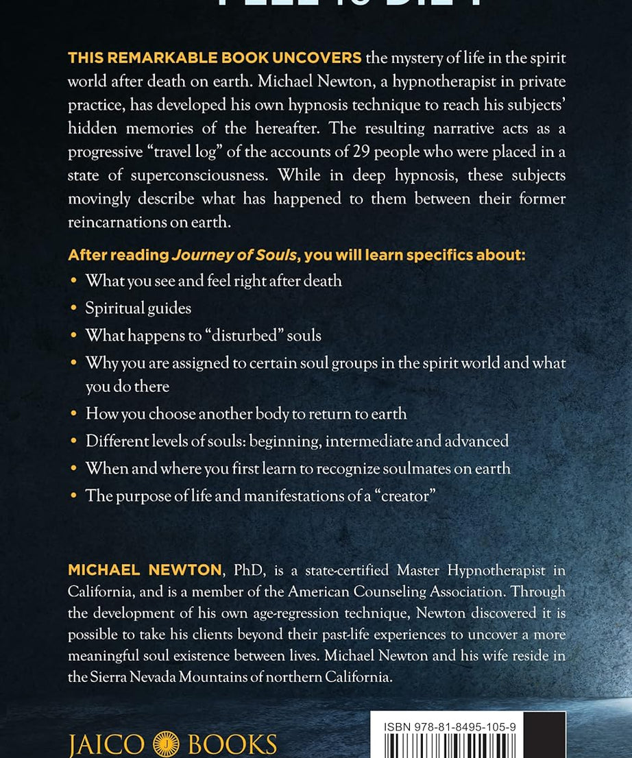 Journey of Souls -Paperback