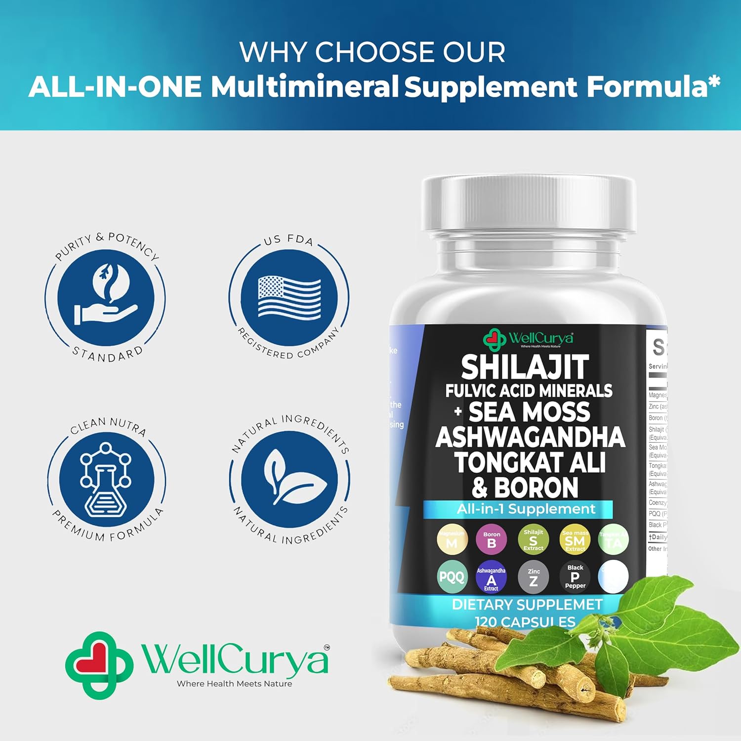 WELLCURYA Herbal Capsules – 120 Count | Plant-Based Daily Formula