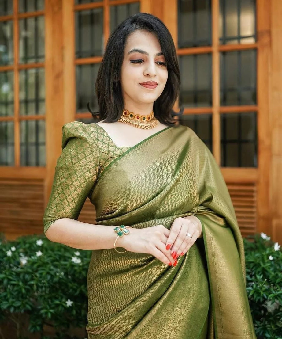 PartyWear Fancy Saree, Ethnic Function Style Sari & Blouse