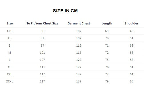 HTTYD Let's Fly Oversized T-Shirts