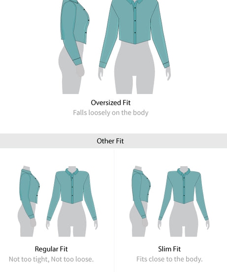 Linen Blend  Platinum Women Shirts