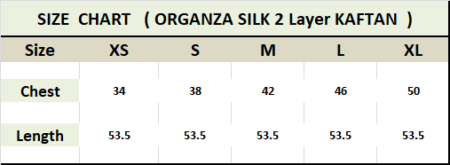 Silk Digital Printed Beach Wear Women's Long Kaftan