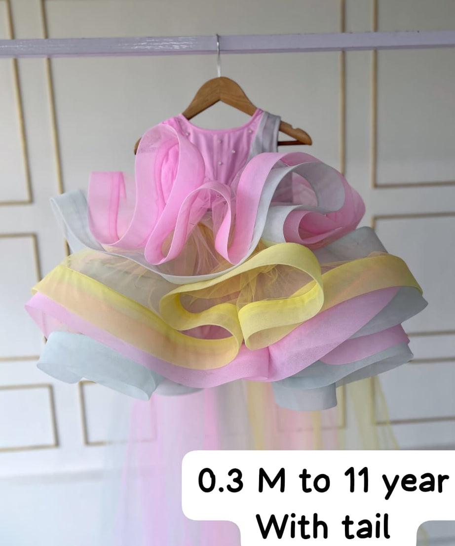 Baby Girl Net Full Flare Dress