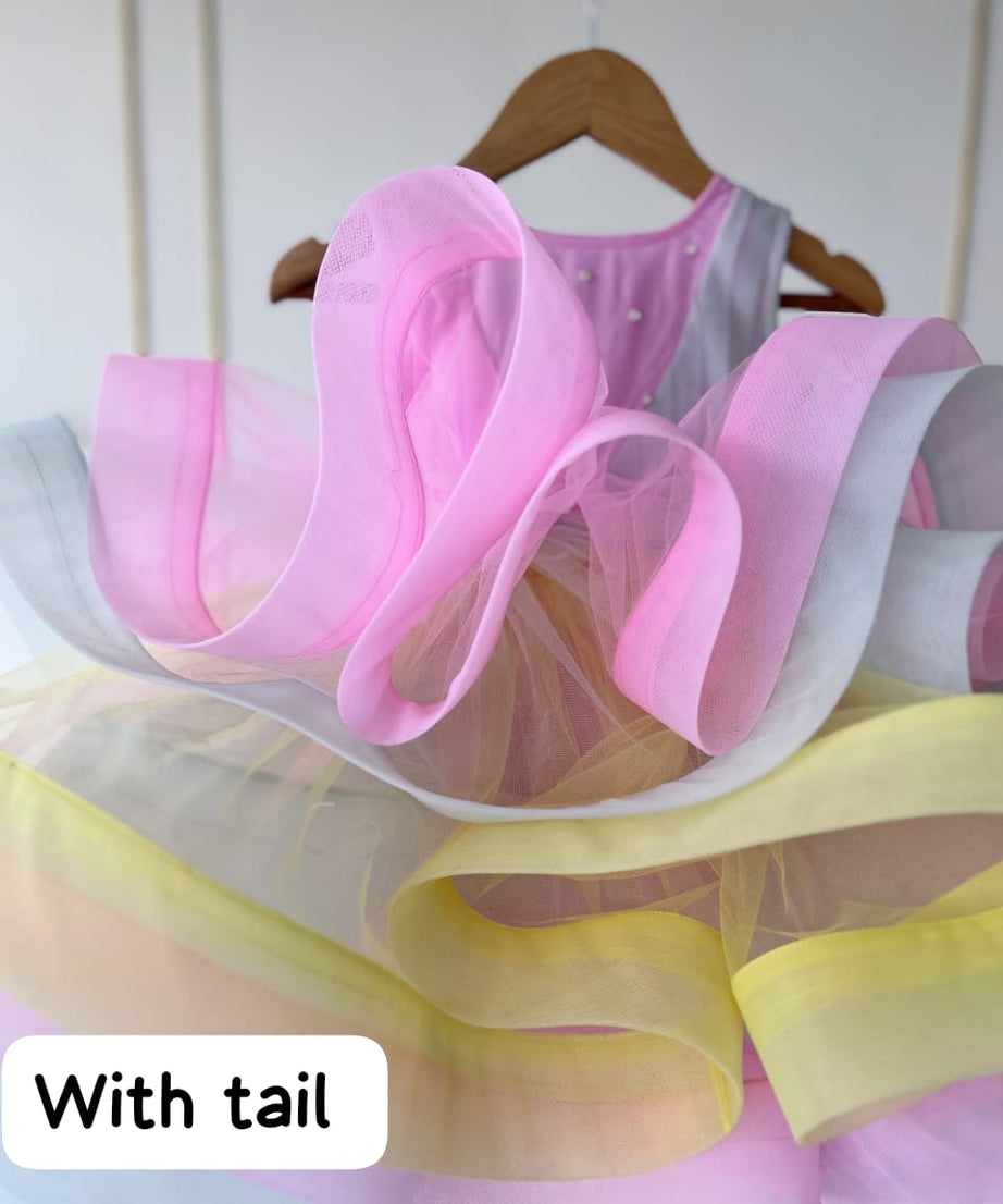 Baby Girl Net Full Flare Dress
