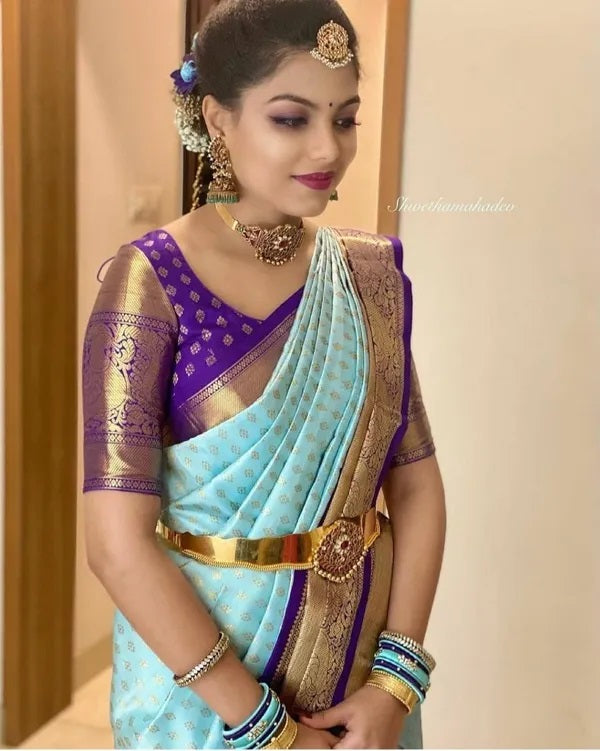 Banarasi Soft Silk Saree, Gorgeous Elegant Beautiful Sari With Blouse