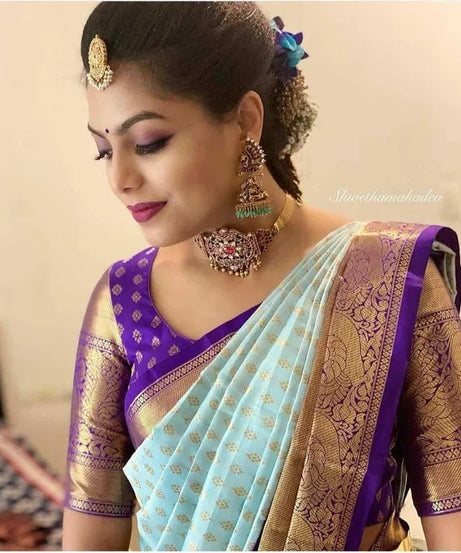 Banarasi Soft Silk Saree, Gorgeous Elegant Beautiful Sari With Blouse