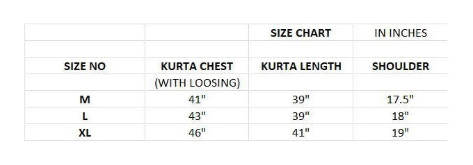 Men's Banglori Silk Kurta Polo Pant Set