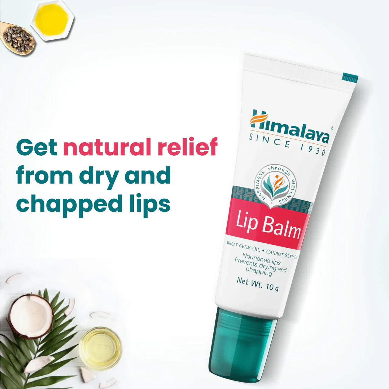 Himalaya Herbals Lip Balm -10 gm