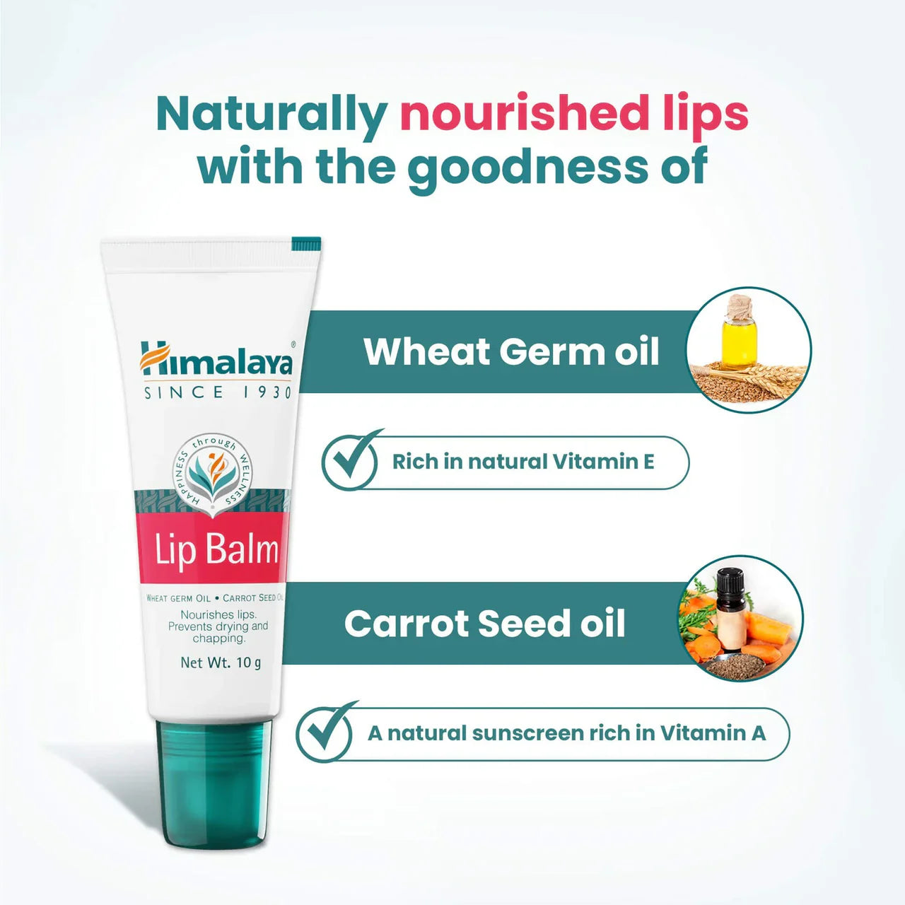 Himalaya Herbals Lip Balm -10 gm