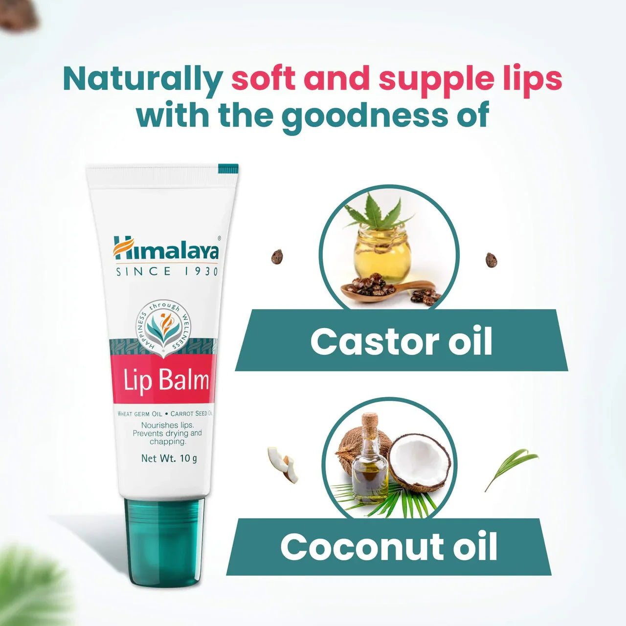 Himalaya Herbals Lip Balm -10 gm